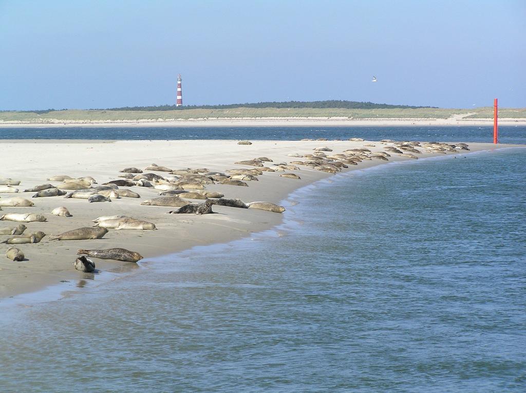 De Berkenhof Aparthotel Nes  Ruang foto